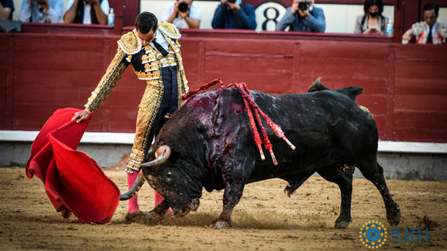 Ureña y Manzanares dejan escapar dos toros de Puerta Grande en Madrid