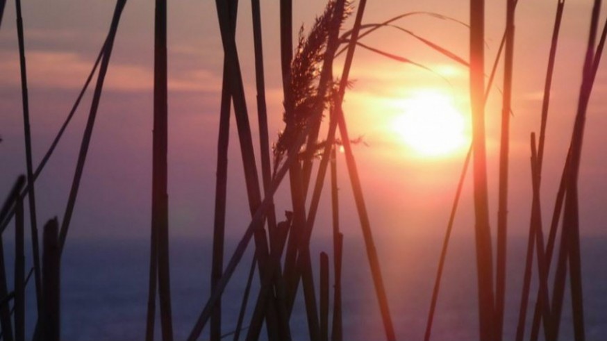 Febrero se despide con tiempo primaveral