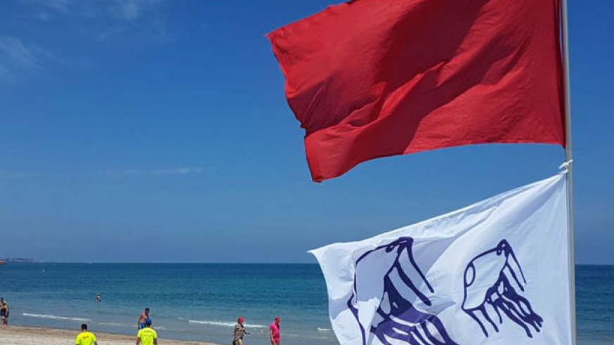 Bandera roja en la playa de las Mil Palmeras
