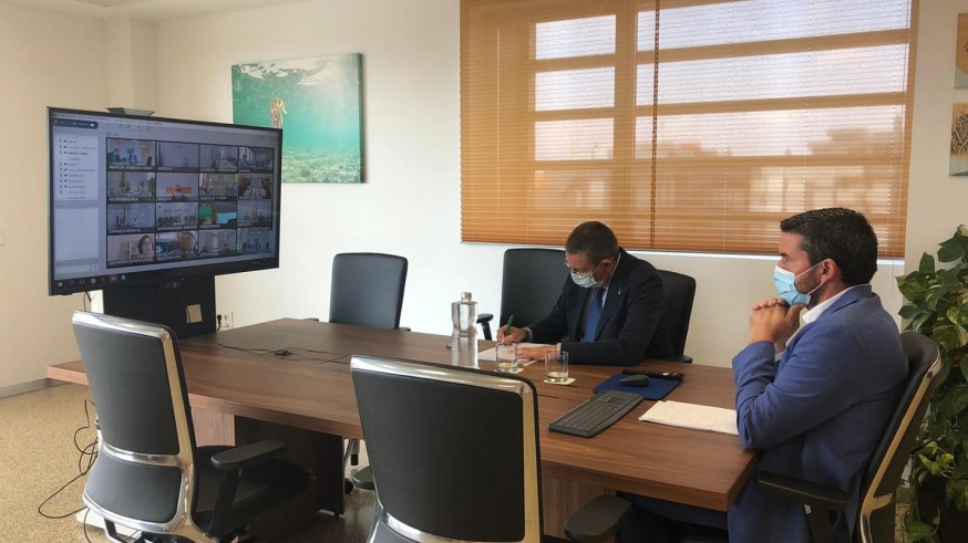 Reunión telemática de Luengo con los ministros Illa y Planas