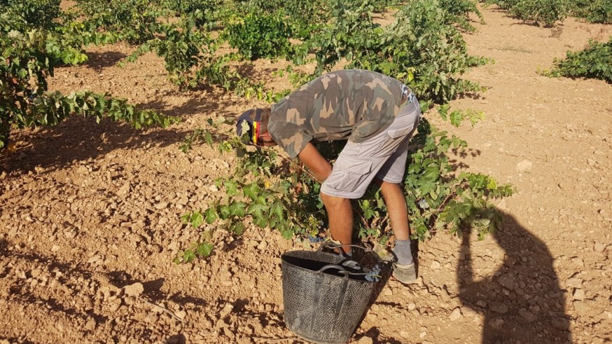 Asaja considera que la cesión de parcelas a jóvenes agricultores es una "herramienta exclusivamente política"