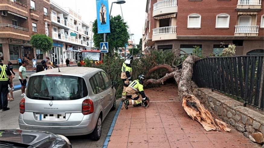 Dos heridas tras la caída de un pino de grandes dimensiones en Santiago de la Ribera
