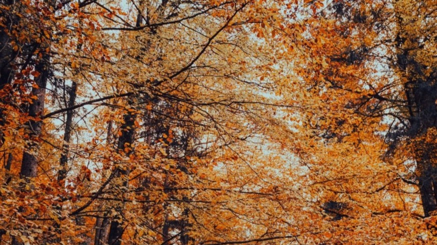 Octubre vuelve a alcanzar un récord situándose en el segundo más cálido de los últimos 65 años 