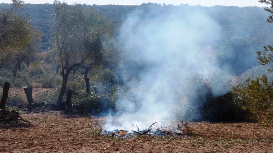 La Comunidad aprueba el Decreto Ley para la regulación de quemas de restos de poda en explotaciones agrícolas