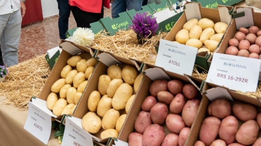 La patata de La Puebla protagonista en el I encuentro Agroprofesional de la revista Campo