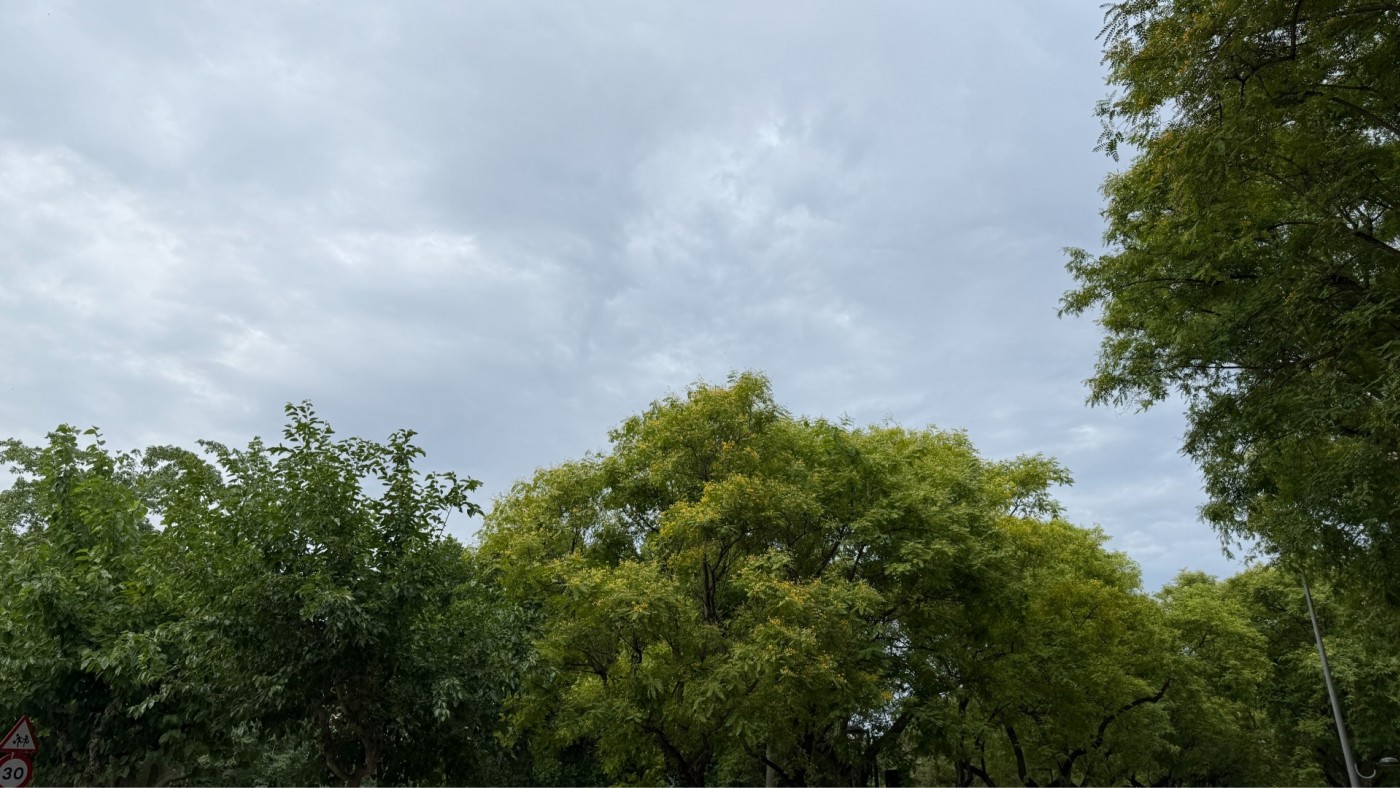 Aviso naranja en el Altiplano por lluvias y tormentas este miércoles