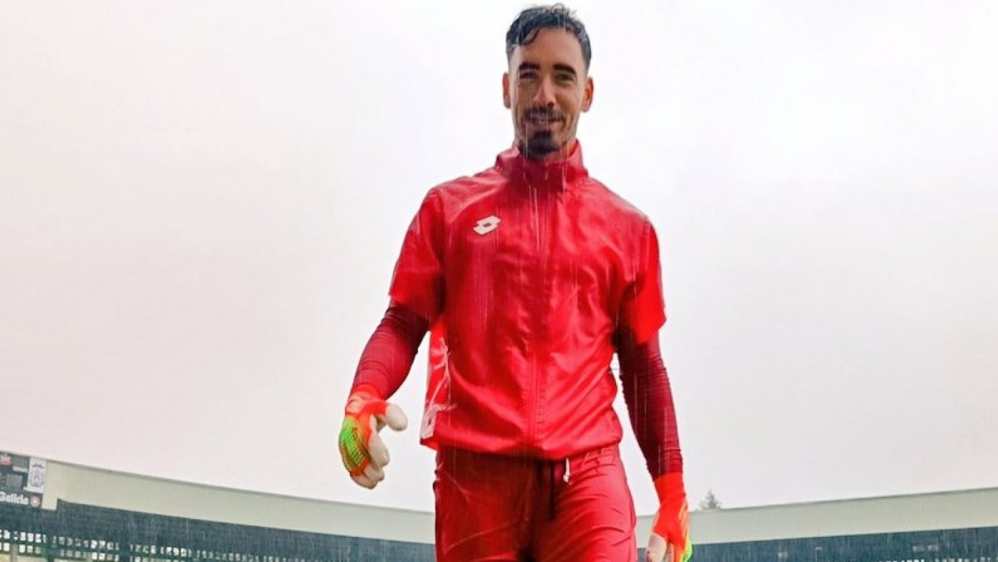 Gazzaniga