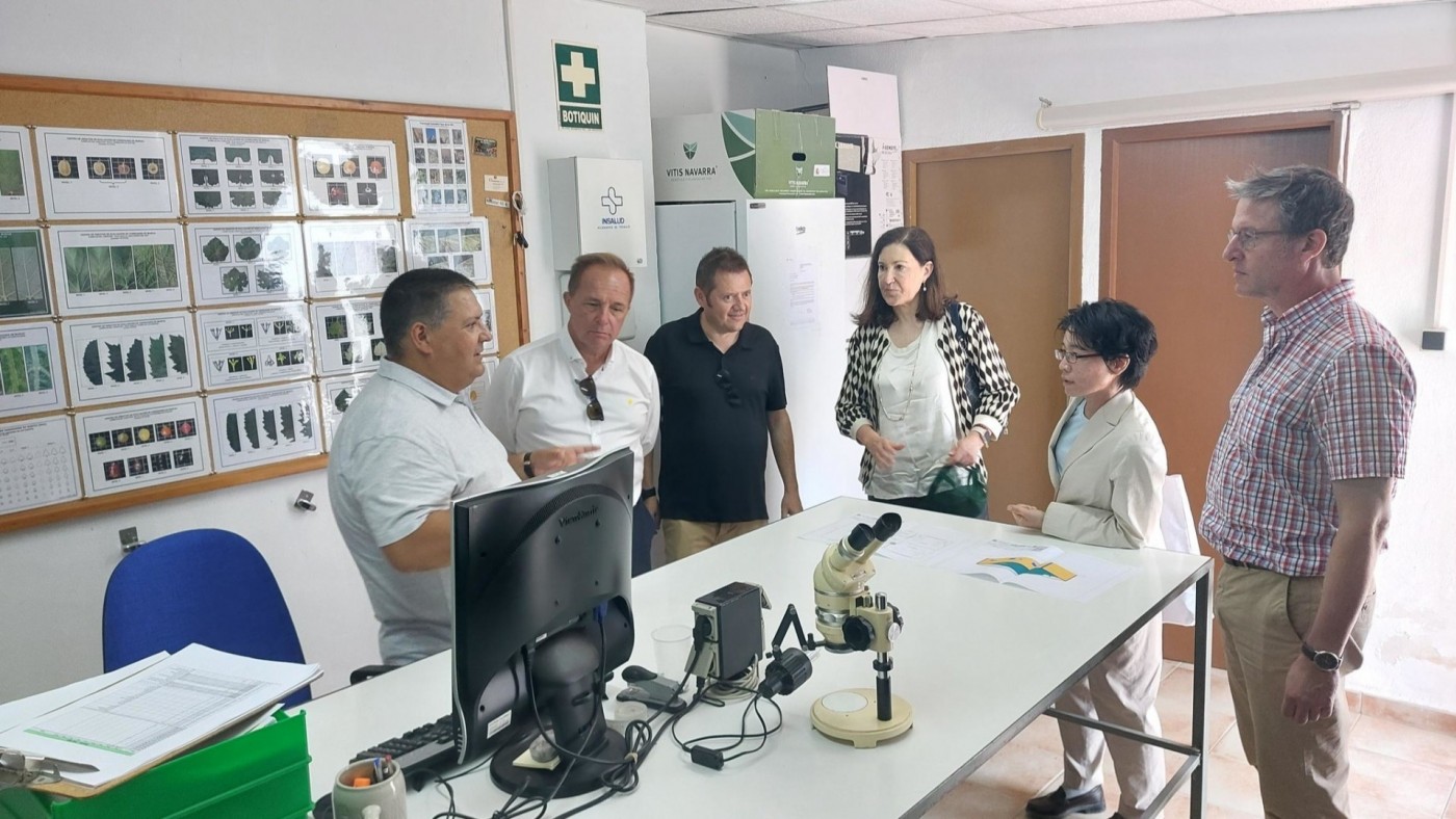 El IMIDA ha identificado 246 nuevos tipos de vid en sus 20 años de funcionamiento