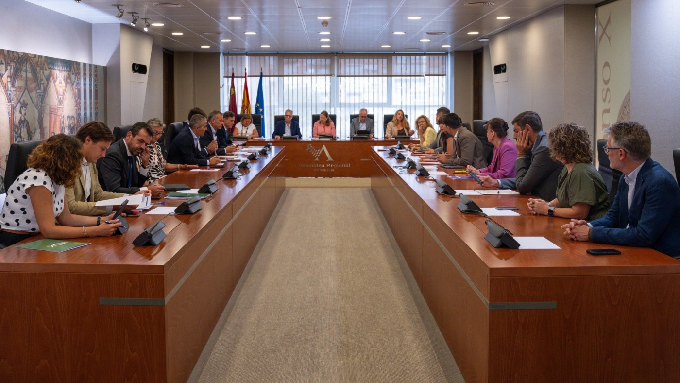 El Gobierno regional salva el decreto de vivienda asequible gracias a los ex de Vox