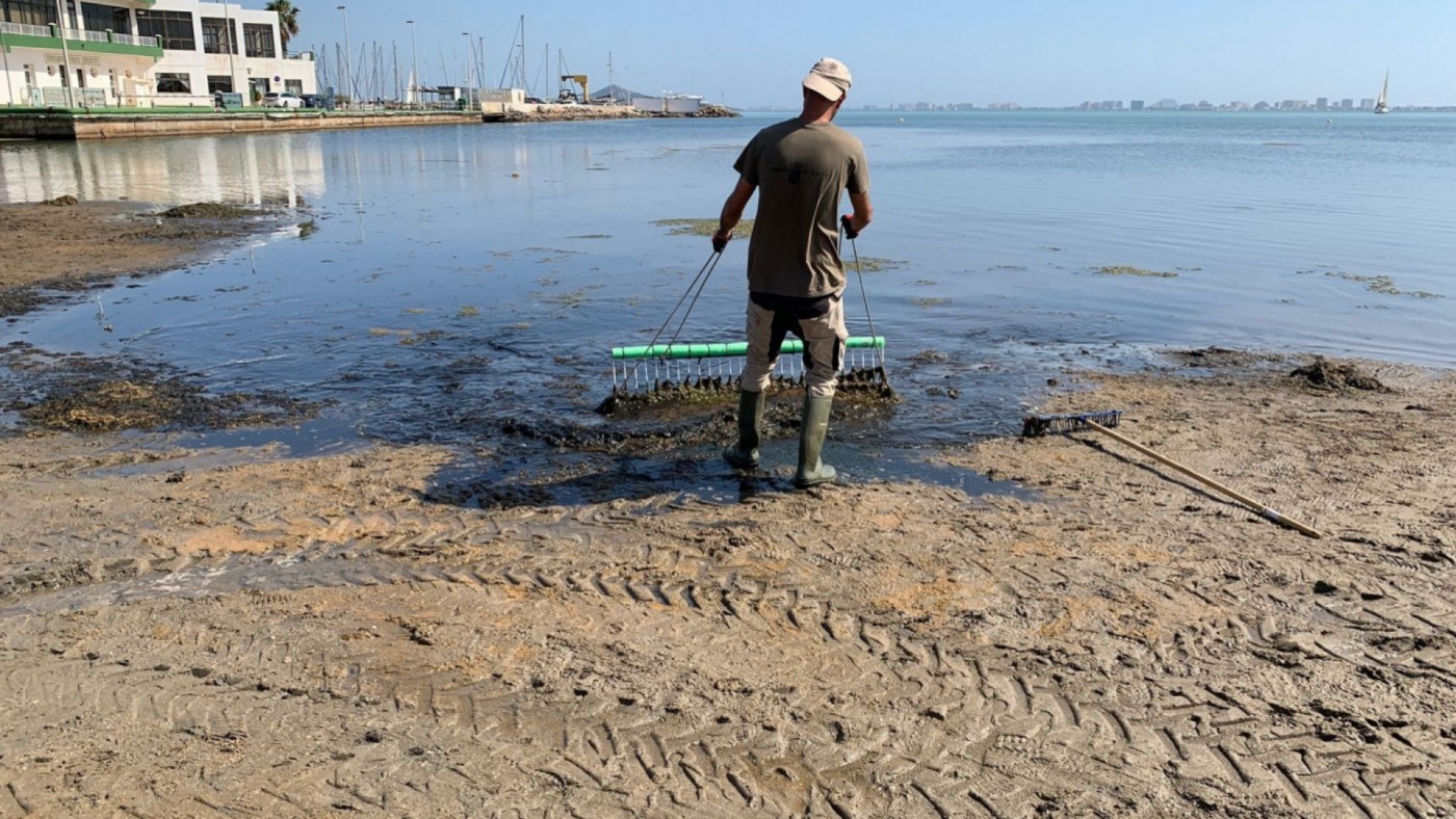 La situación de la playa de Los Urrutias, cubierta de biomasa, desespera a los vecinos