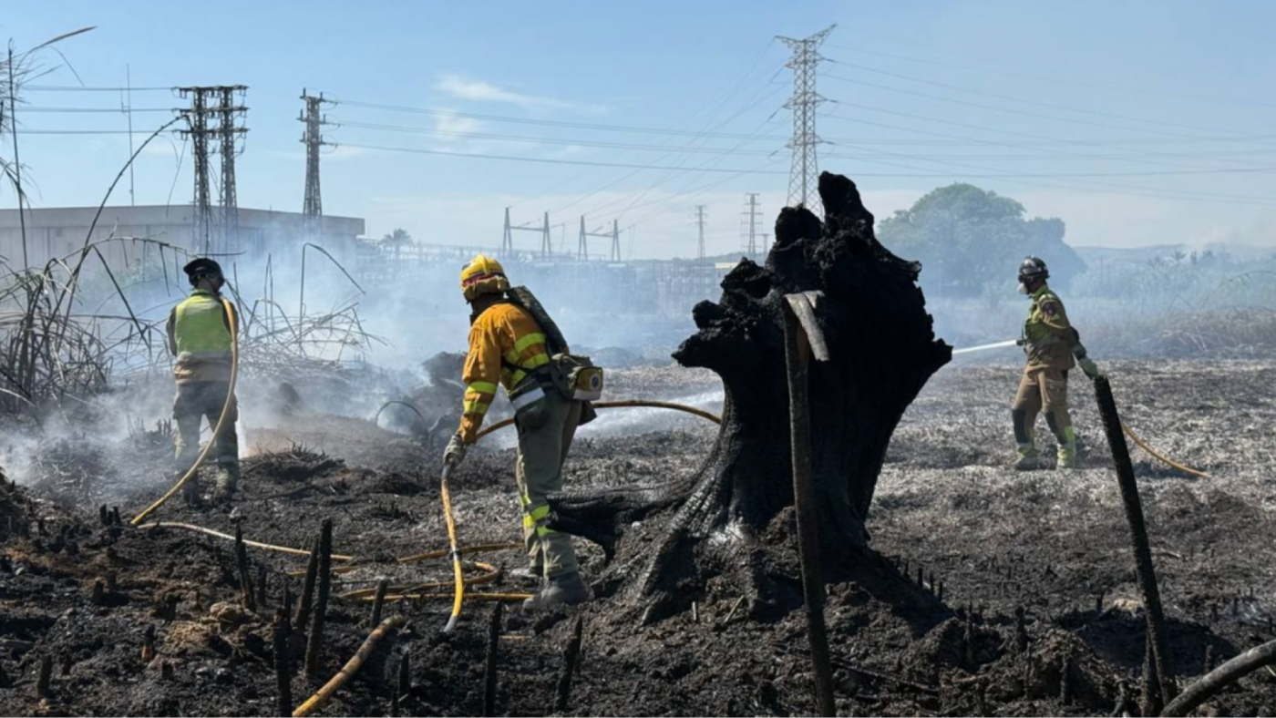 Estabilizado el incendio de matorral y cañas de Monteagudo