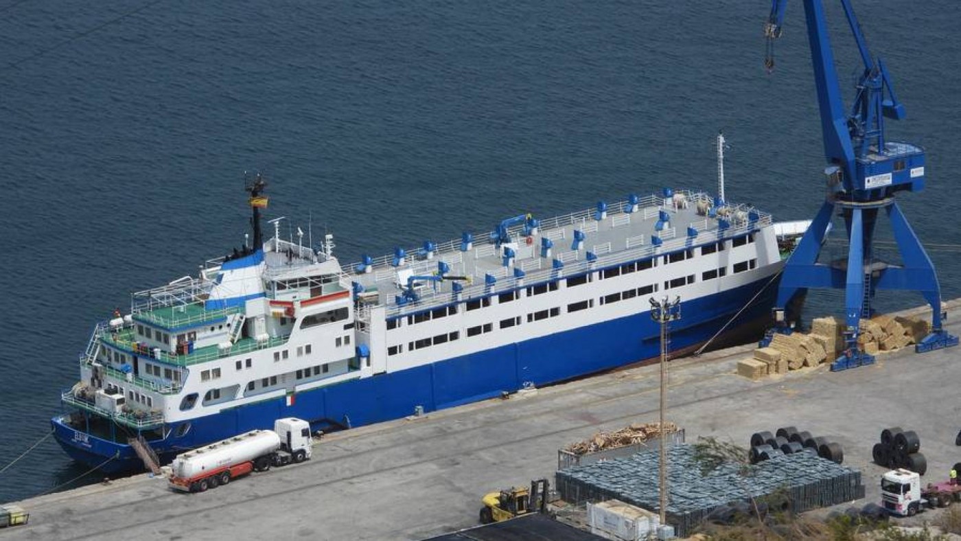 El buque Elbeik en el Puerto de Cartagena en el verano de 2020. CIWF