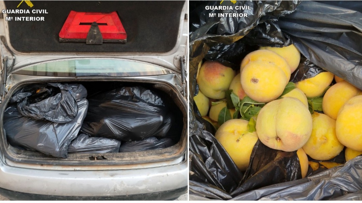 Detenidos con 400 kilos de melocotones de Cieza recién robados en una finca