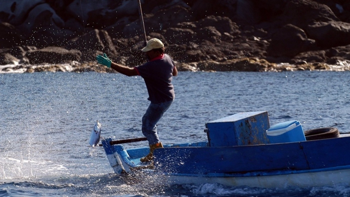 El cambio climático, detrás de la expansión de “la enfermedad de los pescadores”