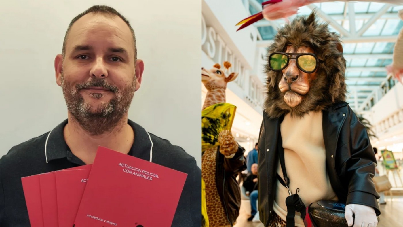 De lo viral a lo legal, el fenómeno de los 'Therians'