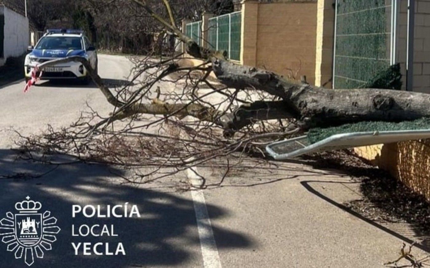 Oriana deja árboles caídos por toda la Región