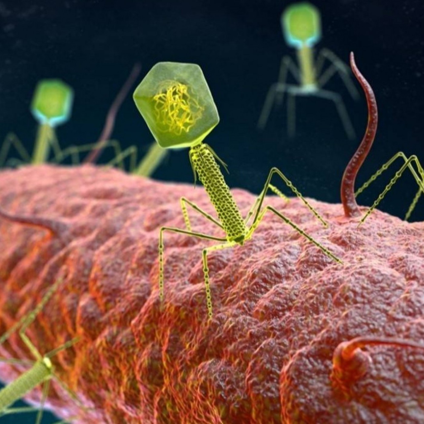 EL MIRADOR T06C154 Una cita con Sherlock Health. Distintas especies de virus y un lenguaje común (14/04/2026) episode artwork