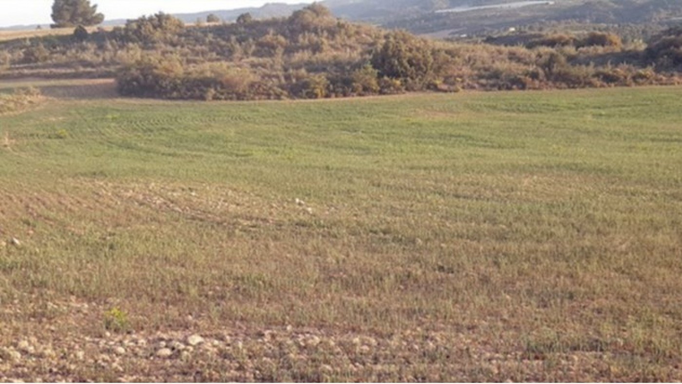 En 10 años se jubilarán el 70 por ciento de los agricultores del secano